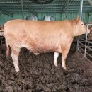 축협수퍼 이미지