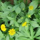 박동농장 이미지