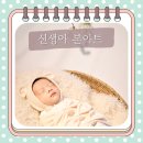 와이스튜디오 인천점 신생아 본아트 촬영 내 돈 내산 찐 후기