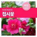 마이플랜트