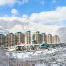 소노펠리체 이미지