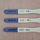 안산 한빛여성병원 임신확인 후기 / 임산부바우처등록(국민행복카드), 임산부정부지원프로그램
