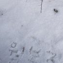 천안월봉중학교 이미지