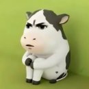 다올푸드 | 서울 양평역 구내식당 한식뷔페 다올푸드 8,500원 직장인 점심 내돈내산 혼밥도 강추