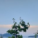 소가원 이미지