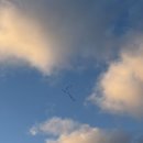 605 | 싱가포르항공 SQ605 인천 싱가포르 비행 기내식 솔직후기(+SQ608)