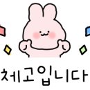 가호동9 이미지