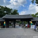 [경기/용인] 한국민속촌 : 야간 개장 방문 후기(운영시간, 입장료, 식당, 볼 거리)