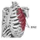 F4GYM(에프포짐) 이미지