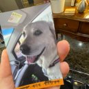 사하구 신산로13번길 | 사하구미용실 디앤에이 헤어살롱 부산커트세팅펌 원장님 실력 만족 후기