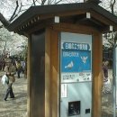 꽃다발이 자동판매기에서 쏙 ?? 일본에는 별의 별 자동판매기가 있어용 이미지