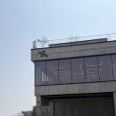 [경산 맛집] 고모역쭈꾸미 삼성현점 내돈내산 솔직후기