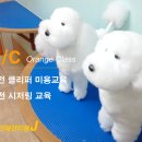 애견미용 동영상/애견미용 클리퍼 동영상/강아지 빡빡이 미용 영상 이미지