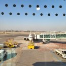 659 | [여행] 김포-포항 진에어 LJ659편 후기