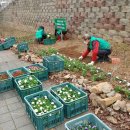 산업도로변 이미지