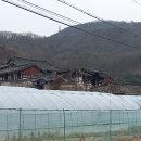 47. 800년 된 시조묘(始祖墓)와 원모재(遠慕齋), 하빈 이씨 이미지