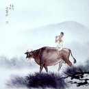평화운보 티스토리