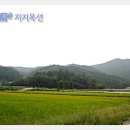 용천천 이미지