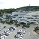 완도5호 이미지