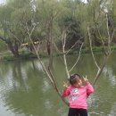 양저우10 - 개원에서 양저우의 상징 수서호 공원에 가다! 이미지