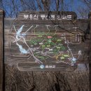 안말천 Daum카페
