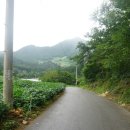 대촌관광농원 이미지