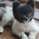 하이운동발달센터 이미지