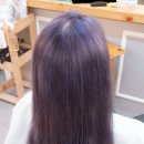 헤어스텔라 이미지