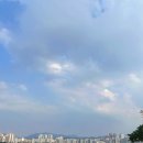 광장보쌈 이미지