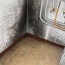 현진약품 | 안산시 상록구 부곡동 현진프라자 베란다 결로, 곰팡이로 인한 공사 후기!