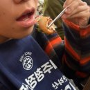 고향막창 | 제주 삼도이동 회식장소 추천 고향숯불막창 후기