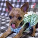 방주종합동물병원 이미지