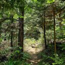 지리산둘레길 8구간 구례 송정마을-의승재-석주관갈림길-원송계곡-문수저수지-대죽마을-오미마을-운조루...