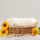 베스트맘산후도우미 네이버블로그