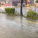 우박이네 이미지