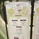 복실이, 키티를 만나다 ‘HELLO KITTY X KEY 팝업스토어’/더현대서울/예약 방문 후기