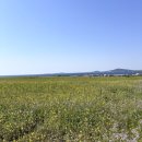 봉주르제주 이미지