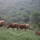 상이농장 이미지