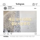 (주)모두모아 | 오산 세교 줄눈 시공, 모아 미래도 후기