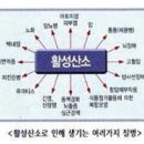 바이오닉스 이미지