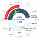 낫토키나제의 효능 이미지