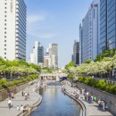 청계천로 청계2가교차로 이미지