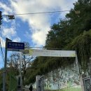 나무와중학교 | [ LG CNS Ai Genius ] #04_ 미성중학교 수업 후기