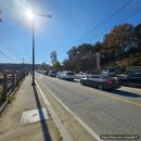 대사1리 토일마을 입구 | 원주 반계리 은행나무 실시간 절정 단풍현황 주말 피크 주차, 단풍 명소 가볼만한곳