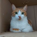 24시퍼스트동물의료센터 이미지