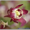 달맞이 펜션 이미지