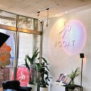 돌마로476번길 | [서현미용실/분당헤어샵]효자촌 고트 미용실 추천! 레이어드 C컬펌 커트 잘하는 곳