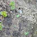 희정이네농장 이미지