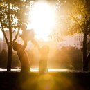 가온아리 이미지