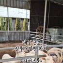 초산목장 네이버블로그